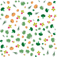 Vegetables pattern background. Transparent background. png