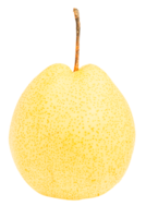 Cutout yellow asian pear png