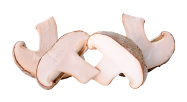 Front view of shiitake mushroom in halves in stack isolated with clipping path in file format. png