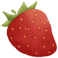 fragola acquerello clip arte così carino png