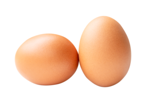 Front view of two brown chicken eggs isolated with clipping path in file format png