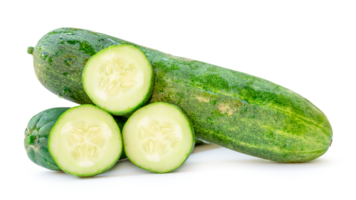 Front view or side view of fresh green cucumber with slices or pieces in stack isolated with clipping path and shadow in file format png