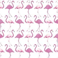 Flamingo Pink White Pattern Background vector