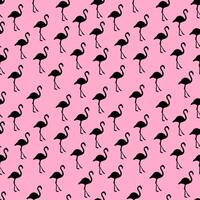 Pink Flamingo Seamless Pattern Texture vector