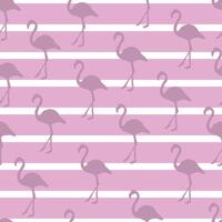 Pastel Flamingo Stripe Pattern Design vector