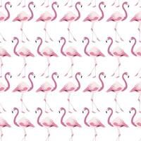 Beautiful Flamingo Pattern Background Pink and White vector