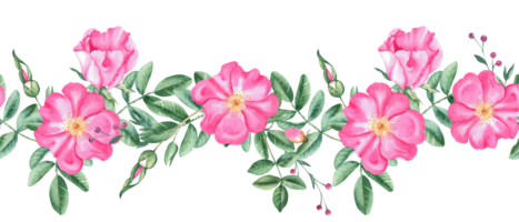 Rose hanche horizontal aquarelle sans couture frontière modèle. main tiré botanique illustration. chien Rose fleurs, bourgeons, branches et baies. pouvez être utilisé pour tissu, textile, emballage impressions png