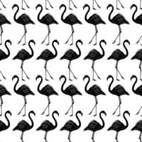 Black Flamingo Pattern Background vector