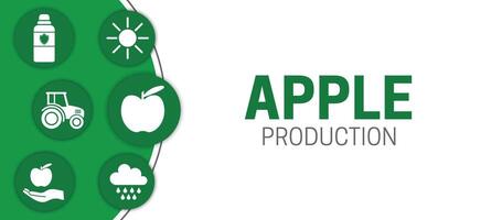 White Apple Production Illustration Banner vector