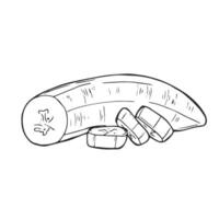 Peel Banana, Hand Drawn Engraving Pen and Ink illustration vector