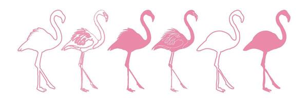 Flamingo Set Isolated Silhouette Illustration vector