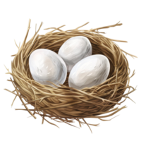 There are three eggs in a nest with leaves and dots png