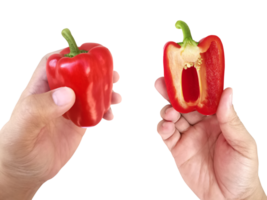 hand- Holding rood klok peper, transparant achtergrond png