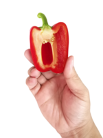 hand holding red Bell Pepper, transparent background png