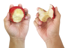 Hand halten rot Apfel, transparent Hintergrund png