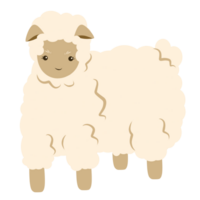 Qurban animal sheep png