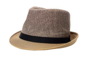 negro gorra aislado en un transparente antecedentes. png