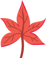 chute des feuilles d'automne png