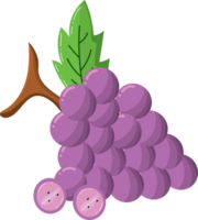 Bunch of purple grapes with stem and leaf png