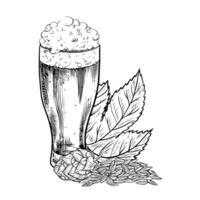 Hops, malt, beer glass and beer mug. black and white hand-drawn illustration on a white background. A design element for a pub or restaurant menu, label and poster, logo and packaging. vector