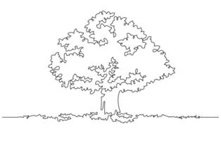 continuous line drawing of big tree illustration vector