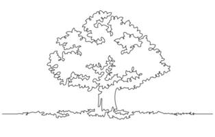 continuous line drawing of big tree illustration vector