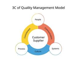 3C of Quality management model vector