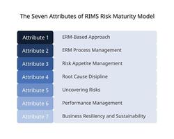 the seven attributes of RIMS Risk Maturity Model vector