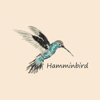 minimalist logo of a hummingbird on a dark background with the text vector