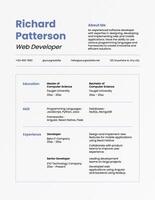 blue white minimalist web developer resume template