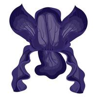 Iris flower purple. illustration on white background. vector