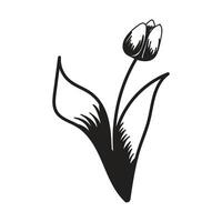 Tulip flower. Black and white silhouette of a tulip. A simple hand drawn icon. illustration on white background. vector