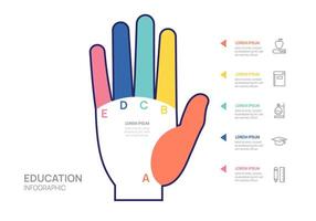 infografía educación mano diagrama modelo. moderno cronograma 5 5 paso, presentación infografía. vector