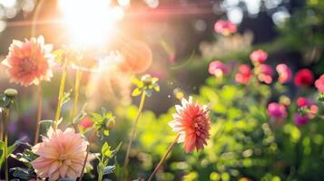 Vibrant flowers blooming in garden, soaking up the summer sunshine photo