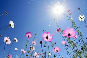 vibrante flores floreciente en jardín, remojo arriba el verano Brillo Solar foto