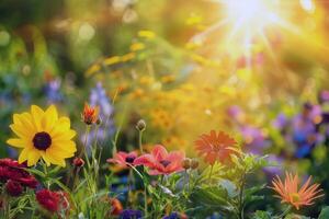 vibrante flores floreciente en jardín, remojo arriba el verano Brillo Solar foto