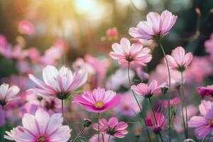 vibrante flores floreciente en jardín, remojo arriba el verano Brillo Solar foto