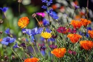 vibrante flores floreciente en jardín, remojo arriba el verano Brillo Solar foto