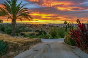 Sunset painting the sky with hues of orange, pink, and purple, signaling the end of summer day photo