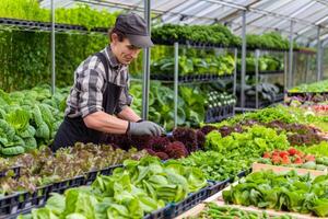 granjero tendiendo a filas de maduro vegetales en abundante verano jardín foto