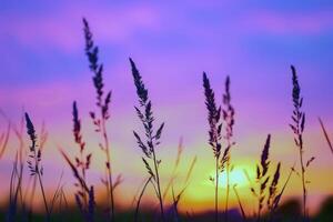 Sunset painting the sky with hues of orange, pink, and purple, signaling the end of summer day photo