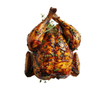 whole roasted chicken with herbs on transparent background png