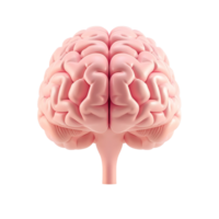 3d front view of human brain on transparent background png