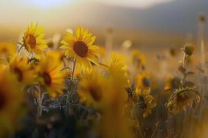 Field of sunflowers swaying gently in the breeze, their bright yellow petals turned towards the sun photo