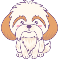 carino soffice cane shih tzu png