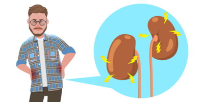 3D Flat Conceptual Illustration of Kidney Stones Disease png