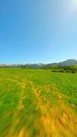 FPV flight over green meadow near the Tatra mountains in summer, Poland. video