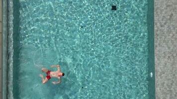 Antenne Aussicht von kaukasisch Mann Schwimmen auf seine zurück im ein Schwimmbad im Sommer- video