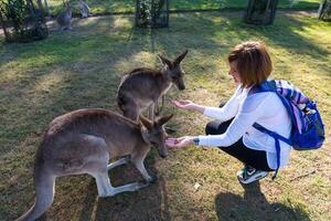 Beautiful girl with kangaroo in the national park, Brisbane, Australia photo