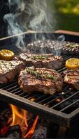 Juicy sizzling pieces of meat marinated with herbs and spices grilled on an outdoor barbecue photo